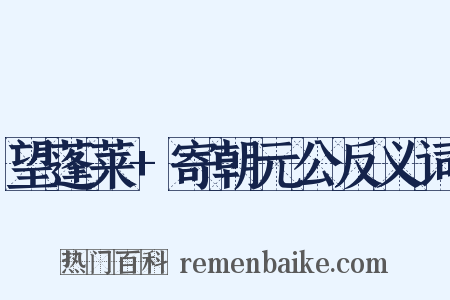望蓬莱+寄朝元公反义词是什么意思的图片